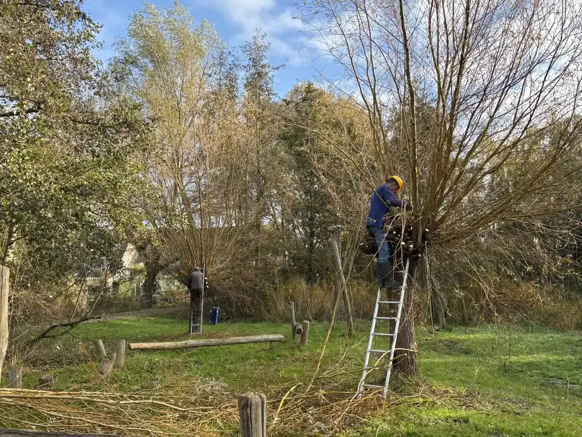 251108_helofytenfilter_04