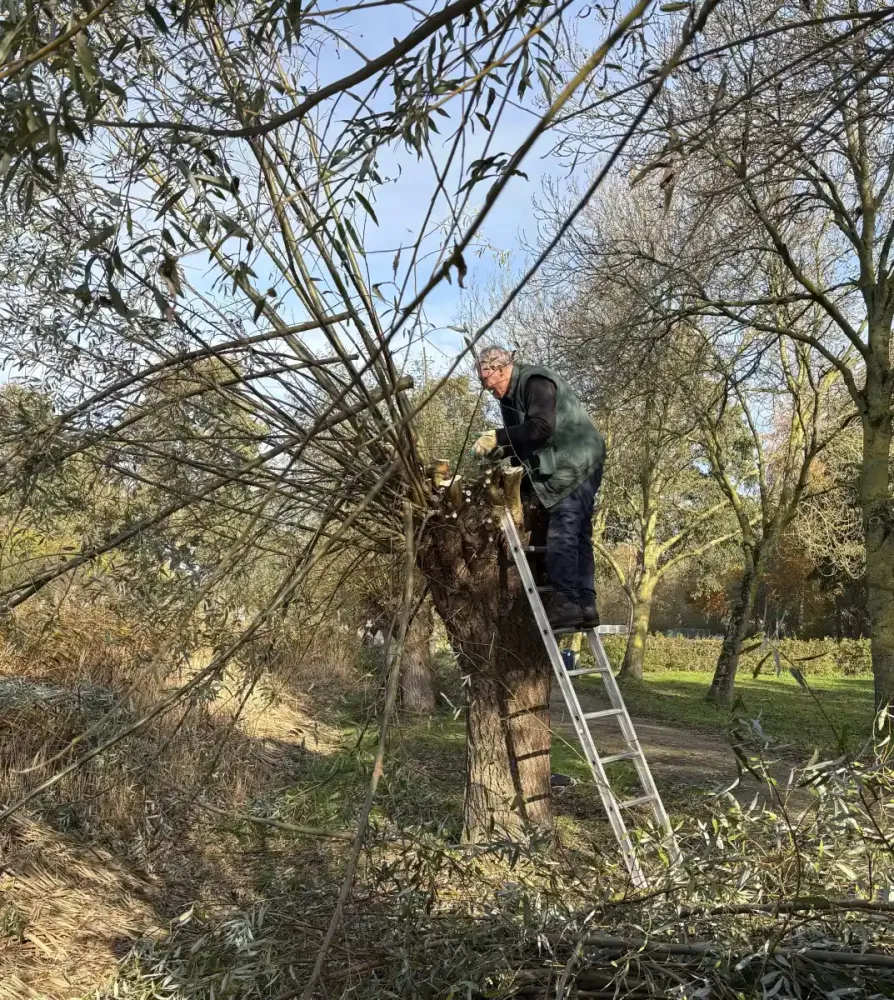 251108_helofytenfilter_07