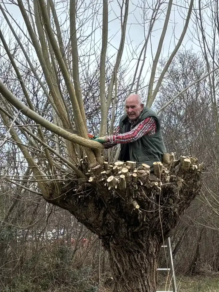 20260314_boterdijk_achter_de_eger_02