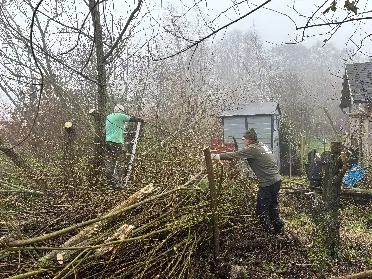 werken in het Enge Bos